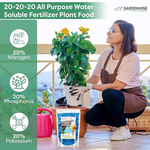 Gardenwise 20-20-20 Water-Soluble Fertilizer – Powder for Liquid Plant Food for Indoor & Outdoor Plants, Orchids, Vegetables, Lawns, Flowers – 20 20 20 Fertilizer (20 QUARTS)