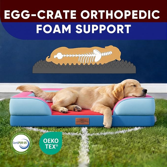 Comfort Expression Orthopedic Dog Bed for Large Dogs 36x27 Inch, Waterproof Egg Crate Foam Large Pet Bed with Bolsters, Dog Couch with Washable Cover & Non-Slip Bottom, Atlanta