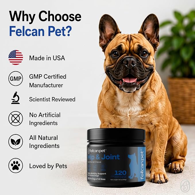 Hip & Joint Chews for Dogs – Glucosamine, Chondroitin, MSM & Green Lipped Mussel – Supports Mobility & Joint Health for Dogs – Natural Dog Joint Supplement – Chicken Flavor, 120 Soft Chews