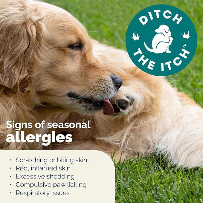 Vetnique Dermabliss Dog Allergy Chews Advanced Strength for Itch & Skin Relief, Anti-Itch Supplement with Aller-Biotic Pro, Quercetin, Wellmune & Omega 3 (120ct, Advanced Strength Chews)