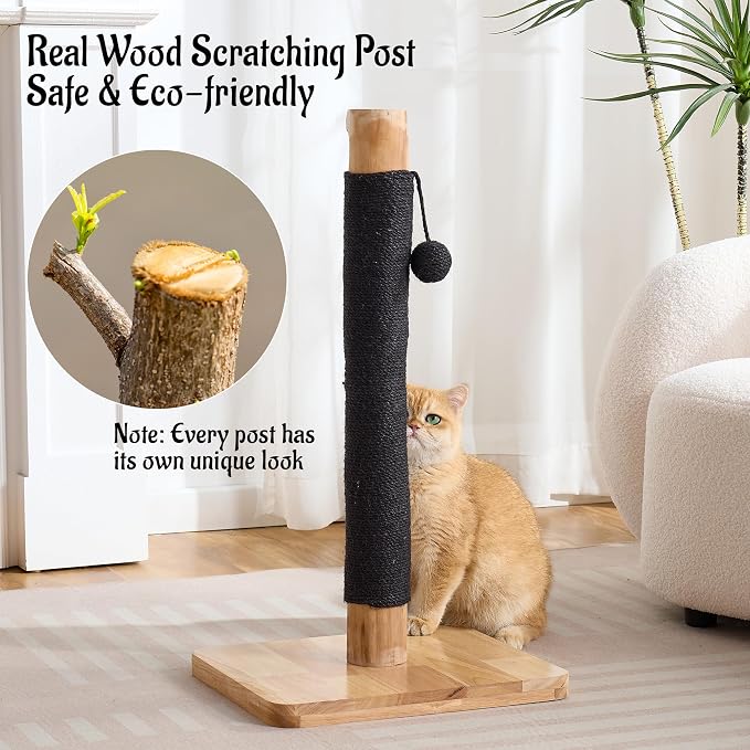 29" Tall Solid Wood Cat Scratching Post for Indoor Cats, Extra Stable Heavy Base, Natural Sisal Scratcher with Hanging Ball, Furniture Protector for Kittens & Adult Cats, Beige