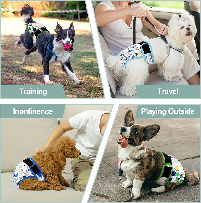 Washable Female Dog Diapers - Premium Reusable Diapers for Doggie in Heat - Highly Absorbent Dog Diapers Female for Pet Incontinence with Adjustable Snaps (Cactus, XL)