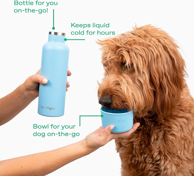 Springer Dog and Me Water Bottle, Stainless Steel Insluated Water Bottle, Keeps Water Cold for 12 Hours (White)