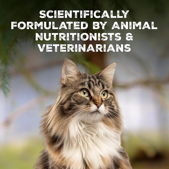 Blue Buffalo Wilderness Tasty Chicken Crunchy Cat Treats, Grain-Free Cat Treats, Real Chicken, Natural Ingredients, Enhanced with Vitamins, Minerals & Other Nutrients, Great for Training, Tub 12 oz.