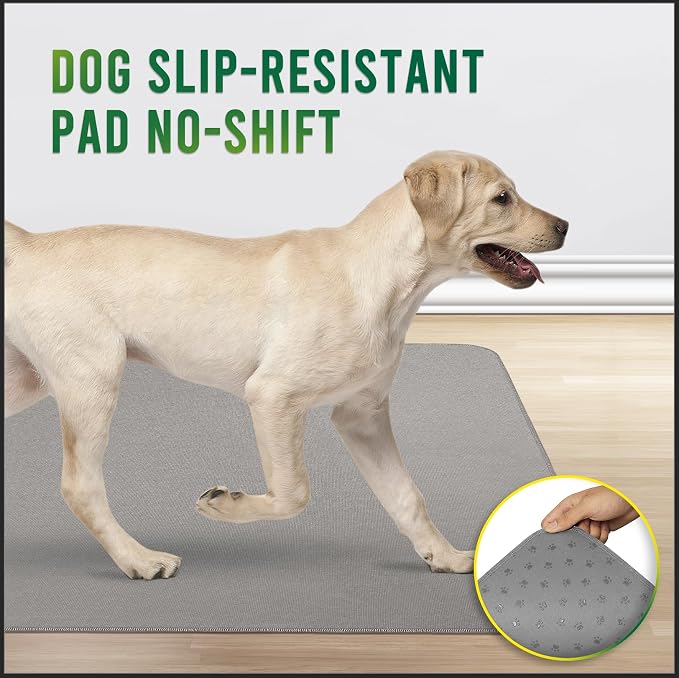 Pawfinity Large Washable Pee Pads for Dogs, Reusable Puppy Training Pad XL, Ultra-Soft, Absorbs 2X Faster & High-Capacity, Leakproof, Non-Slip, Waterproof Pet Mat for Floor, 34x36 inch, 2 Pack