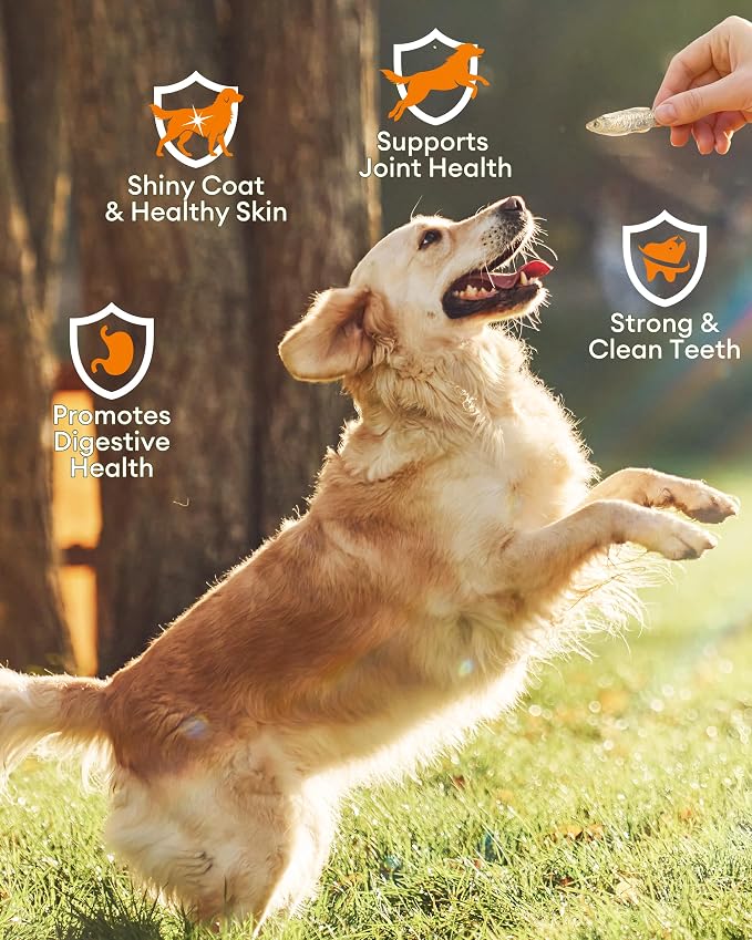 Freeze Dried Minnows for Dogs, Made in USA Single Ingredient Raw Dog Treats Fish, High Protein Minnows, Healthy Treat for Cats Dogs (2oz)