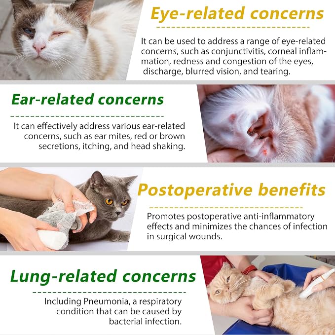 Cat Antibiotics for Infection, Natural Antibiotics for Cats, Cat Multivitamins, Cat Antibiotic Supports Immune and Cat Allergy Itch Relief, Pet Antibiotics Supplements, Chicken Flavor, 4 Fl Oz/2 Pack