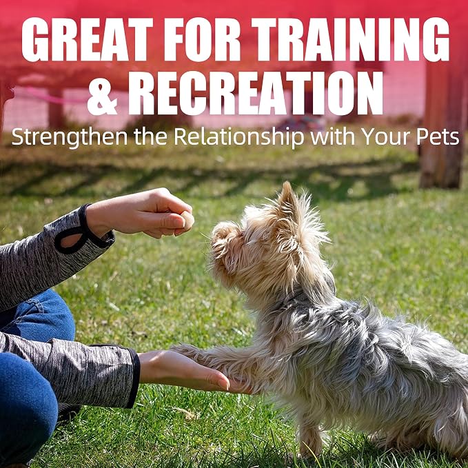 Just Try 1.1 LB Freeze Dried Chicken Cat & Dog Treats Food Topper Single Ingredient High Protein Grain Free Healthy Dog Training Treats - Large Size