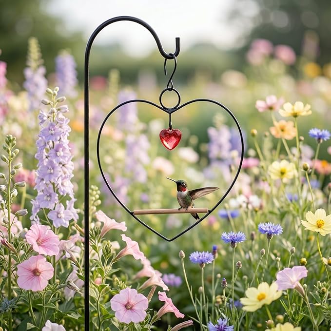 Songbird Essentials Hummingbird Swing - Tweet Heart Birdie Swing - Black Metal Hummingbird Perch