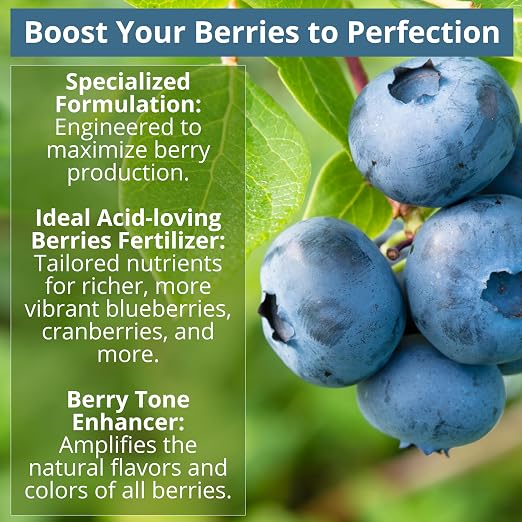 GARDENWISE 8-4-8 Acidic Fertilizer for Azaleas, Camellias (Camelia), Hydrangeas, Blueberries, Gardenias, Magnolia Trees, Evergreens, and Rhododendrons - Ideal Iron-Rich Plant Food (1/2 Quart)