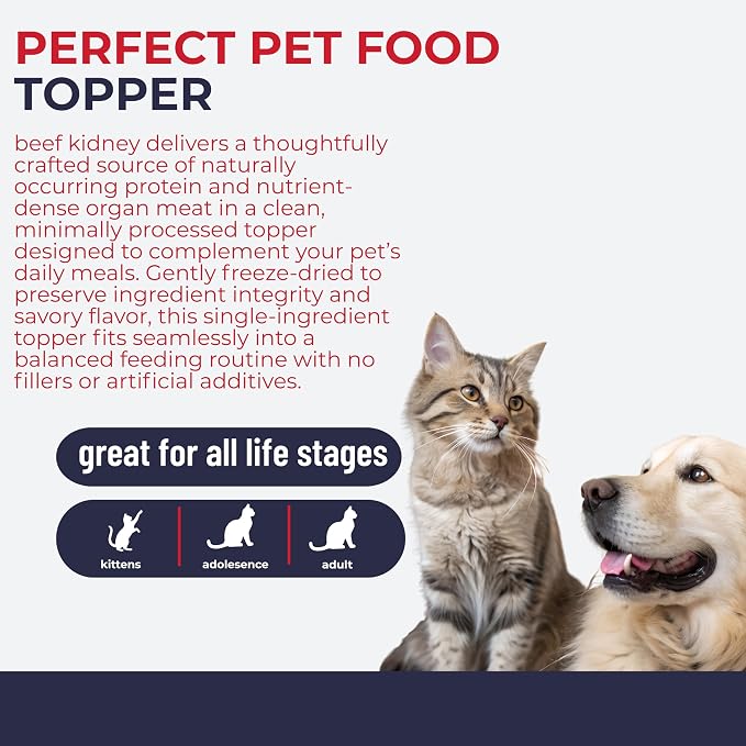 Momentum Carnivore Nutrition Freeze-Dried Beef Kidney Pet Food Topper – Single-Ingredient, All-Natural Topper – High-Protein for Dogs and Cats, Grain-Free and Made in The USA– (3.75 oz Bag)