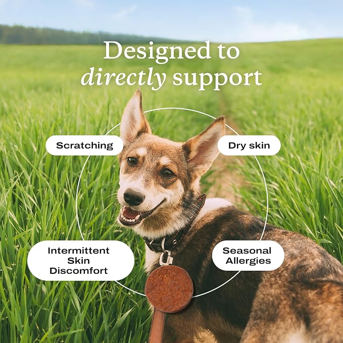 PetLab Co. Itch Relief Chew Pro – Itch Relief Chews for Dogs, Omega 3 Itch Supplement, Packed with Beneficial Fatty Acids for Healthy Skin, Seasonal Allergies Support - Packaging May Vary - Pack of 2
