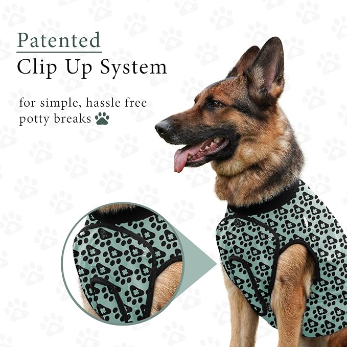 BellyGuard Dog Surgery Recovery Suit, Post-Op Dog Recovery Suit for Female Spay & Male Neuter, Comfy Onesie for Pets, Surgical Body Cover for Canine Healing Support