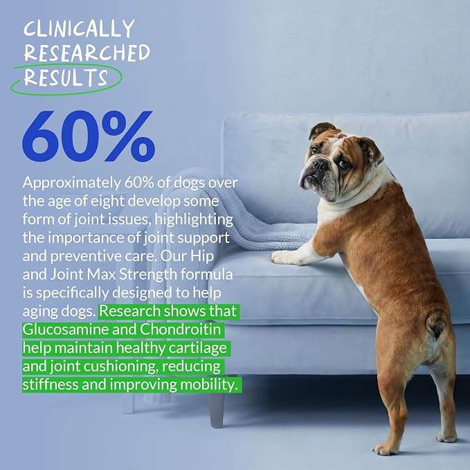 Hip & Joint Max Strength Dogs - Collagen, Glucosamine & Fish Oil | Max Strength with Collagen, Glucosamine & Fish Oil. Supports hip & joint health, eases inflammation & acts as antioxidant.