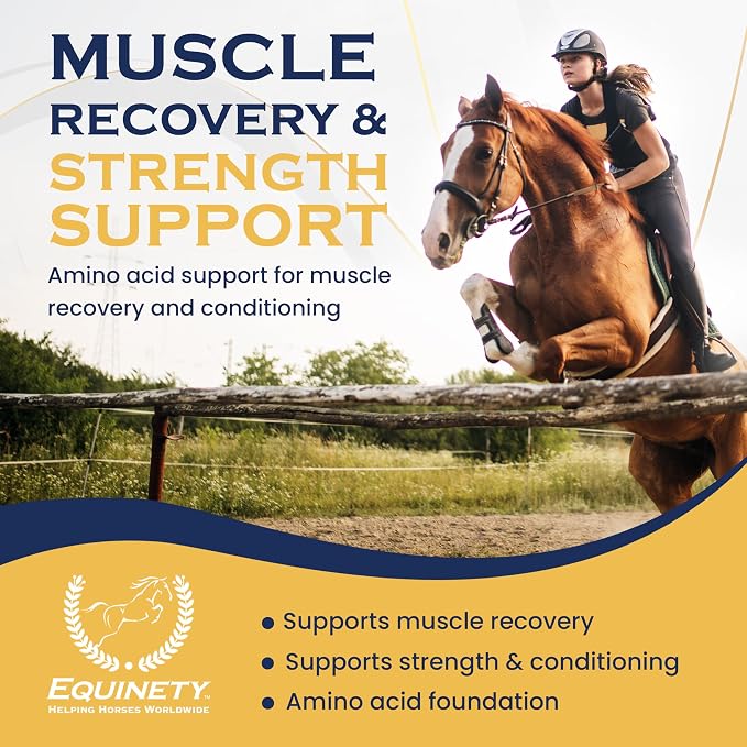 100-Day Supply Horse XL Supplement – Amino Acids for Cellular Repair, Coat Defense, Weight Gain, Joint & Hoof Support – No Soy/Sugar – Equine Supplements for Muscle, Immune Support & Overall Health