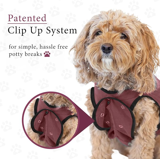BellyGuard Dog Surgery Recovery Suit, Post-Op Dog Recovery Suit for Female Spay & Male Neuter, Comfy Onesie for Pets, Surgical Body Cover for Canine Healing Support