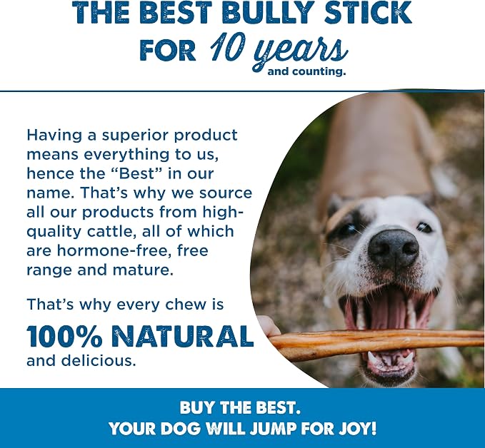 Best Bully Sticks 2-4 Inch Junior Bully Sticks for Dogs - 8 oz (Pack of 1) - Natural Grass-Fed Beef, Grain and Rawhide Free, Small Breeds, Puppies