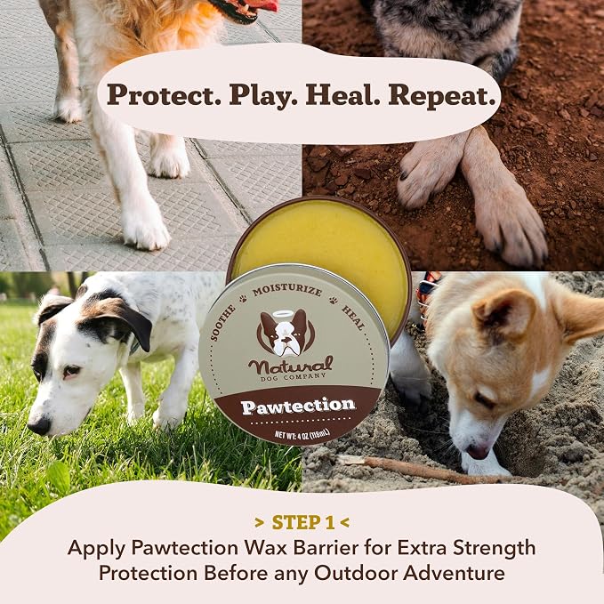 Natural Dog Company Paw Soother Balm & PawTection Stick Bundle for Dogs – Moisturizes, Heals & Protects Dry, Cracked Paws – Lick-Safe Dog Paw Balm Duo – 2 oz Tin + 0.15 oz Stick