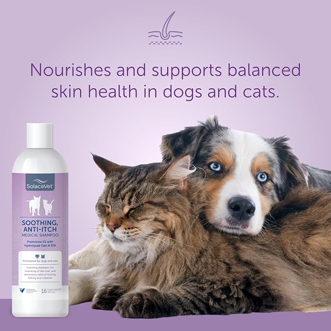 SolaceVet Soothing Anti-Itch Medical Shampoo 16 oz – Veterinarian Recommended Soap-Free Formula for Dogs & Cats with Pramoxine & Hydrolyzed Oats