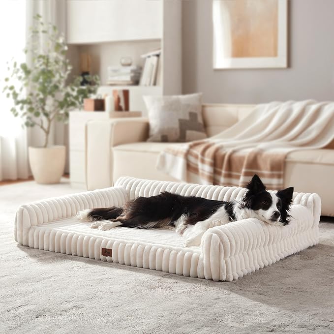 Orthopedic Dog Bed Large Pet Beds with Removable Washable Cover, Couch-Like Sofa Design for S to XXL Dogs Up to 50 lbs, with Soft Short Plush Surface & Foam, 35x25x9.5 Inch, Cream