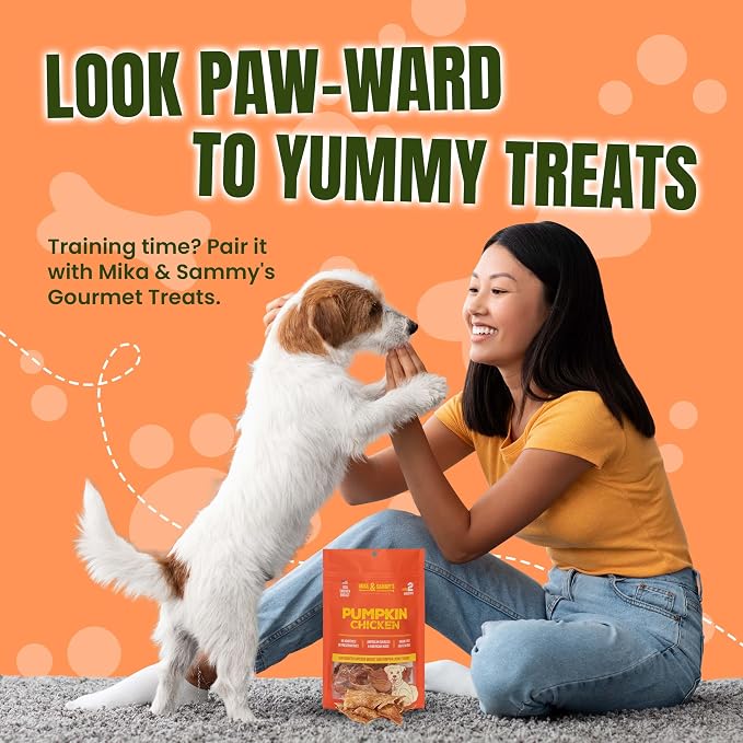 Gourmet Jerky Dog Treats -Made in USA only, Cage-Free, No Additives (Pumpkin Chicken 12 oz)