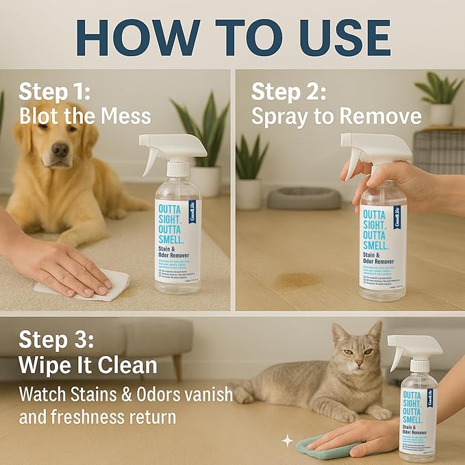 Natural Odor and Stain Remover Spray - Unscented Plant-Based Child & Pet Safe Cleaner Earth-Friendly Odor Eliminator Eco Cleaning Products for Home, Carpet (1 Pack, 1 Gallon)