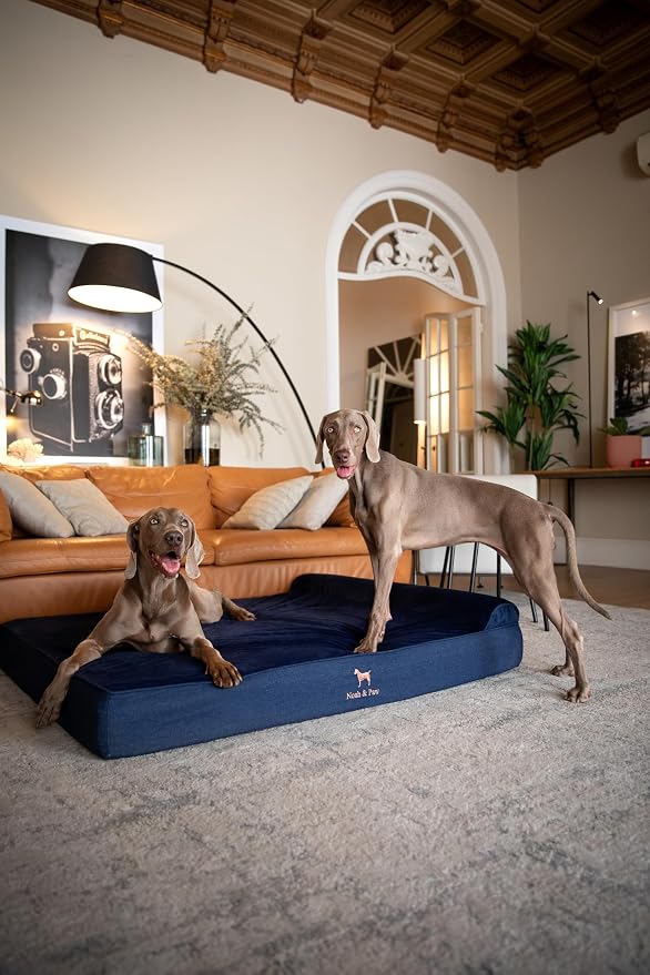 NOAH & PAW Giant Dog Bed XXL 55x45x9.5 Inch, Orthopedic Dog Beds, Eggshell Memory Foam Infused with Cooling Gel, Water Resistant, Machine Washable, Includes Inner Cover (Denim Collection)