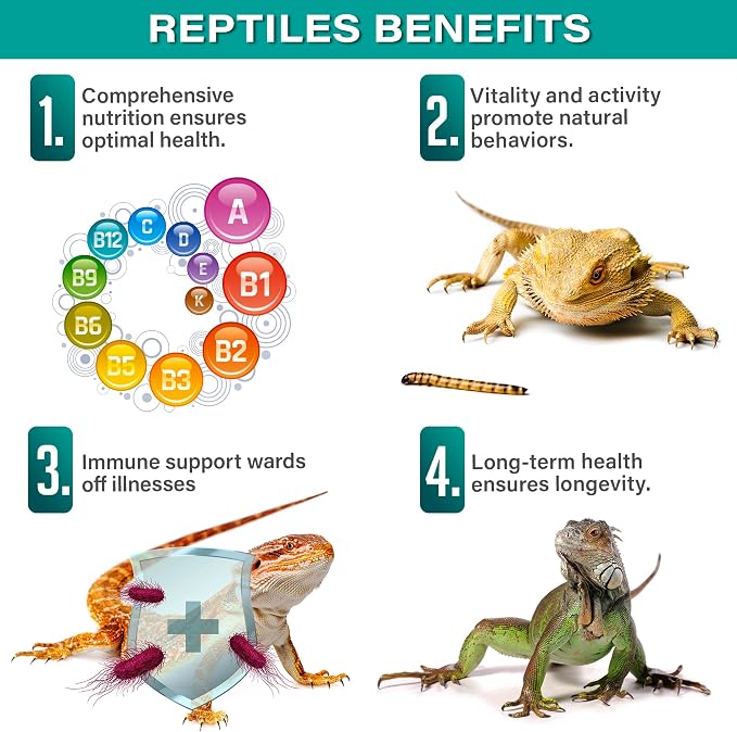 Gargeer 4oz Reptile Multi-Vitamin Supplement. Premium Ingredients, Rich with Organic Fruit, for Full Growth and Development Support. Boosted with Minerals and Amino Acids, Proudly Made in USA. Enjoy!