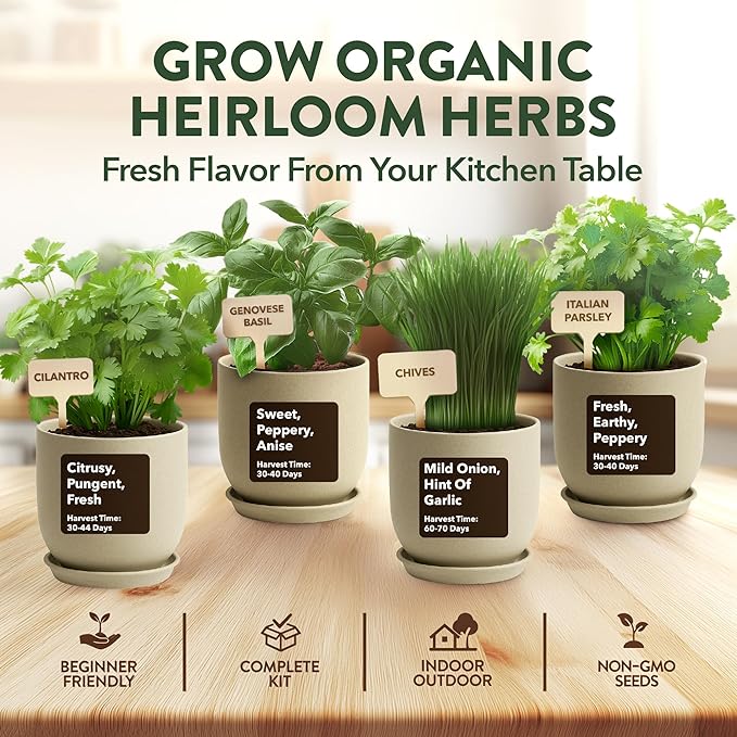 HOME GROWN 12,000+ Wheatgrass Seeds & HOME GROWN Indoor Organic Herb Garden Kit – Unique Christmas Gift for Adults, Men, & Women - Grow 4 Herb Seeds