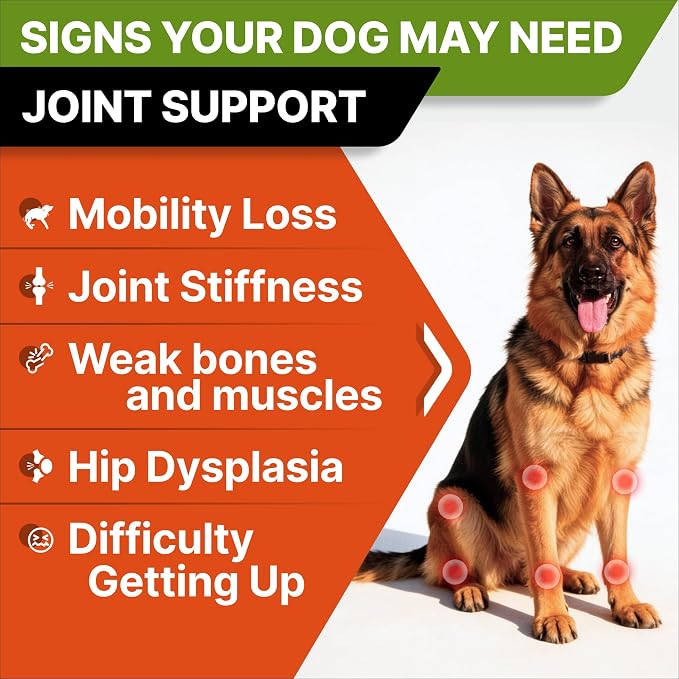 Senior Advanced Glucosamine Chondroitin Joint Supplement for Dogs - Hip & Joint Pain Relief Pills - Large & Small Breed - Hip Joint Chews Canine Joint Health - Dogs&Horses - Bacon Flavor-120Ct