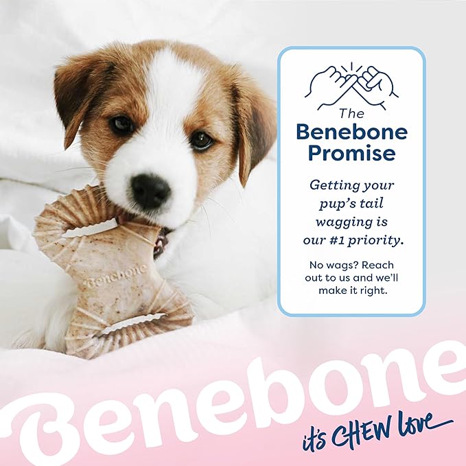 Benebone Puppy 2-Pack Dental Chew/Wishbone Durable Dog Chew Toys for Gentle Chewers, Real Bacon, Made in USA, Small