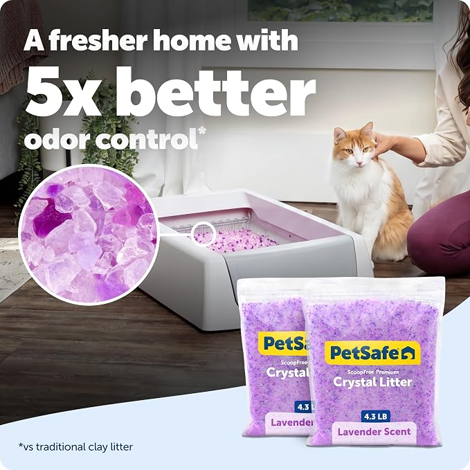 PetSafe ScoopFree Premium Crystal Cat Litter - Outperforms Clay Litter - Refill Packs - Reusable Tray Compatible - Lavender Scent - 4.3 lb Bags - 2 Pack