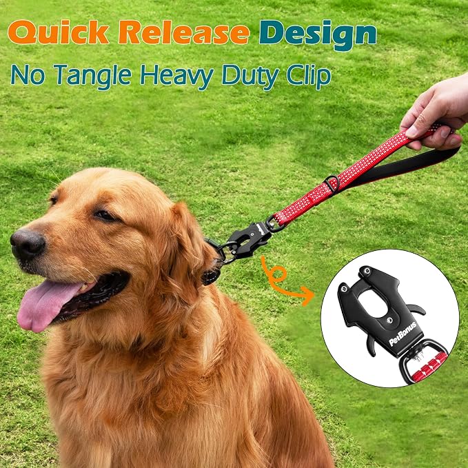 PetBonus Heavy Duty 12 Inch Short Dog Leash and 2-Pack Large Silicone Collapsible Dog Bowls