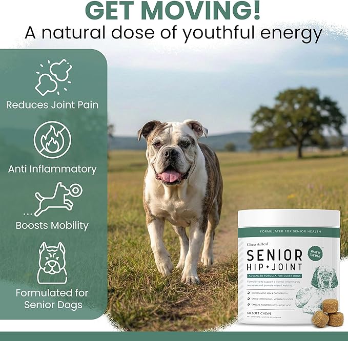 Glucosamine for Dogs Hip and Joint Supplement -240 Soft Chews for Senior Dogs with Glucosamine, Chondroitin, MSM, and Omegas -Mobility, Cartilage, Joint Health -Peanut Butter Flavor (2 Jars of 120)