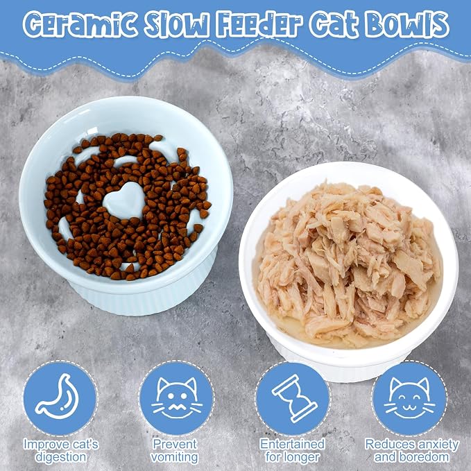 Tioncy 2 Pcs Raised Cat Slow Feeder Bowl Ceramic Elevated Cat Dog Food Bowl No Spill High Edge for Dry Wet Food and Water Easy to Clean, Dishwasher Safe (White,Blue)