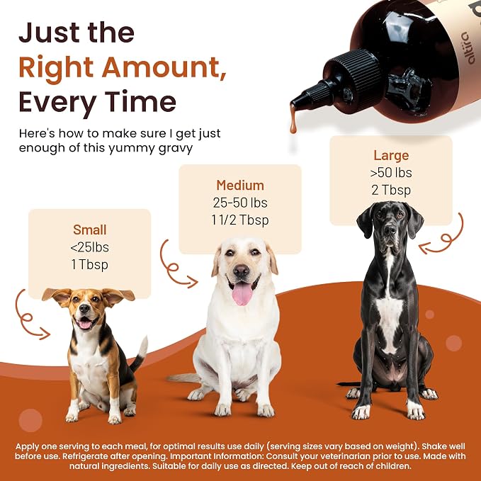 Everyday Dog Gravy - Premium Wet Dog Food Gravy Toppers for Dry Food – Tasty & Nutritious with Essential Vitamins and Supplements – Hip and Joint Supplement (Bacon & Beef Bundle)