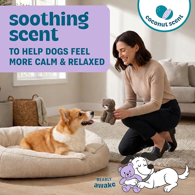 Calming Plush Dog Toy with Squeaker, Ultra-Soft Floppy Cuddle Companion, Coconut Scented, Bear, Small, 7.9”