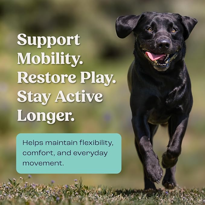Summit Canine Joint and Mobility Supplement for Large Dogs, All Natural Liquid Chondroitin with Liposomal Delivery for Arthritis, Hip & Joint Support Vitamin, (Dogs 75+lbs)