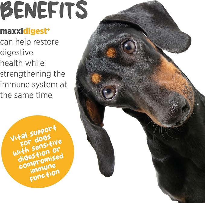 maxxipaws maxxidigest+ Prebiotic & Probiotic for Dogs 7oz | Dog Probiotic Powder with Advanced Digestive Enzymes for Gut Health & Immunity | Supports Digestion, Food Sensitivities & Itchy Skin