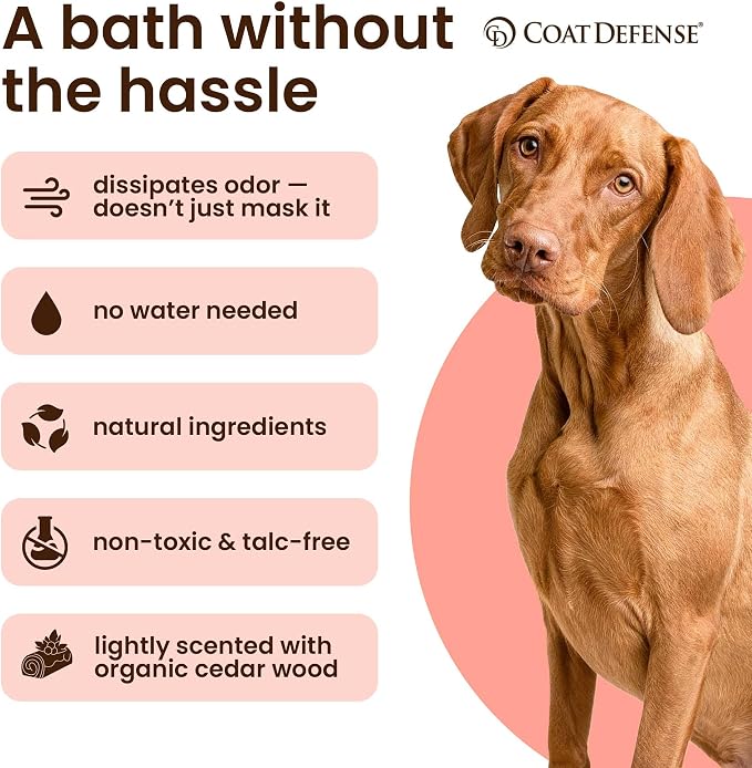 COAT DEFENSE Daily Preventative Powder | Made in USA | 9oz Precision Point Waterless Dog Shampoo & Pet Deodorizer for Smelly Dogs | Provides Anti Itch Relief | Dog Shampoo for Dry Itchy Skin