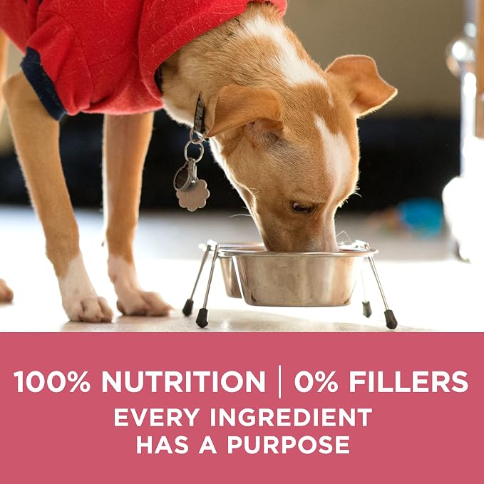 Purina ONE Natural, Sensitive Stomach Dry Dog Food, +Plus Skin & Coat Formula - 16.5 lb. Bag