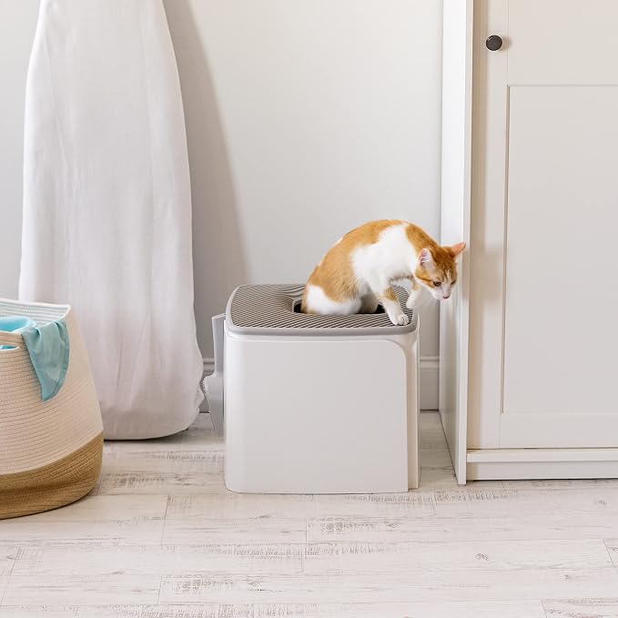 IRIS USA Cat Litter Box Top-Entry Square Top Entry Litter Box with Scoop, Enclosed Litterbox with Odor Control, Dog Proof Covered Litter Box Design, Easy to Clean, White/Gray