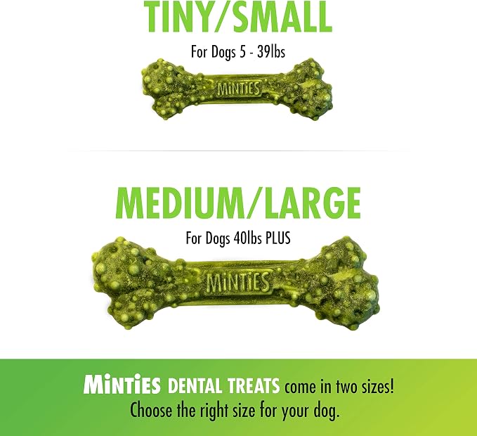 VetIQ Minties Dog Dental Bone Treats, Dental Chews for Dogs, (Perfect for Tiny / Small Dogs under 40 lbs), 80 Treats (box)