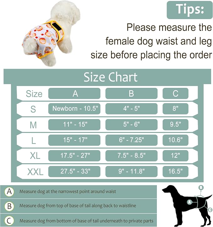 Female Dog Diapers - Premium Reusable Diapers for Doggie in Heat - Highly Absorbent for Pet Incontinence with Adjustable Snaps Rabbit, M