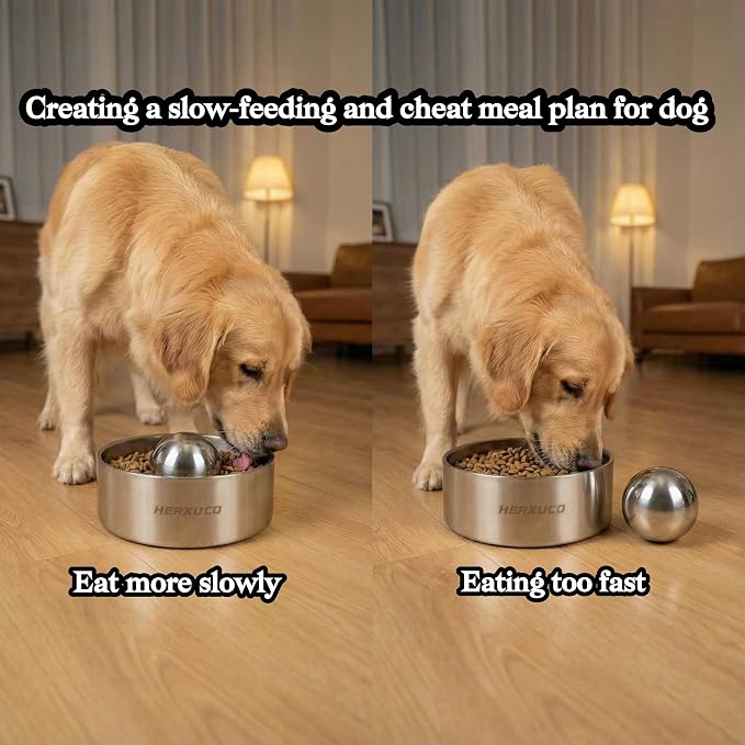 Stainless Steel Dog Slow Feeder Set – 2-in-1 Pet Bowl 42oz & Slow Feeder Ball 3in – Spherical Design Slows Eating & Use Separately or Together (Medium)
