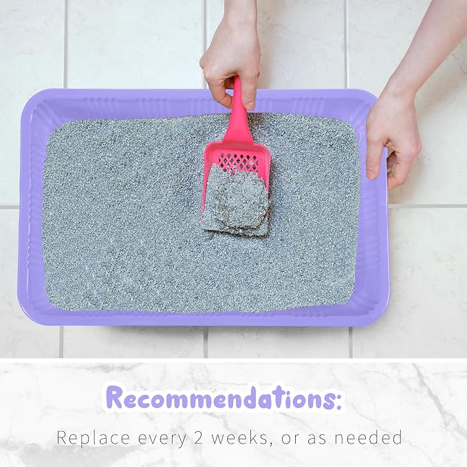 Tessco for you 30 Pack Disposable Cat Litter Boxes, Plastic Leakproof Litter Trays for Cats, Disposable Travel or Temporary Litters Pan for Kittens and Small Pets, 16.7 x 10.5 x 3.4 Inch(Light Purple)