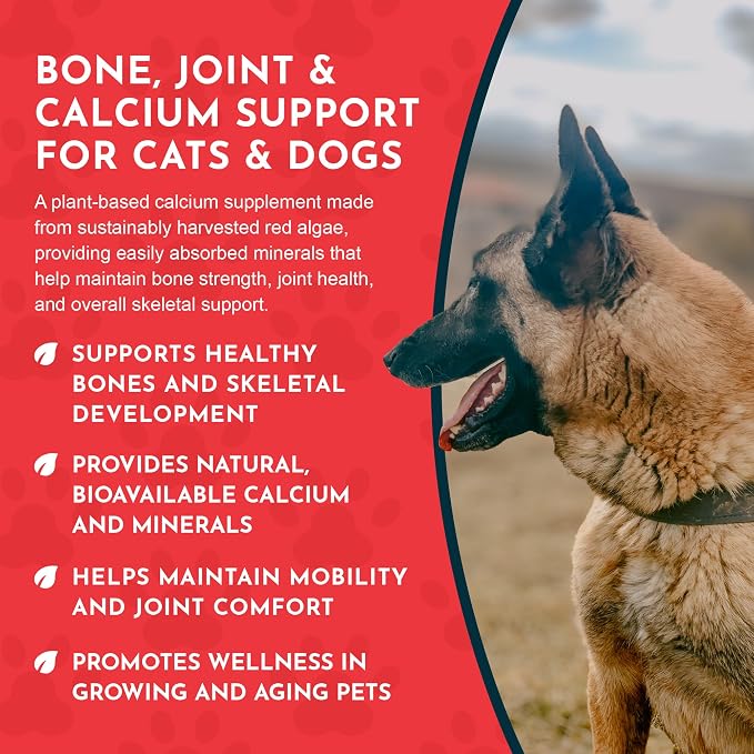 Animal Essentials Sea-Cal - Pure Seaweed Calcium Powder for Dogs with Magnesium, Joint Supplement for Dogs & Cats for Healthy Bones & Teeth, Joint Health, Vegan Icelandic Seaweed Calcium - 12 oz