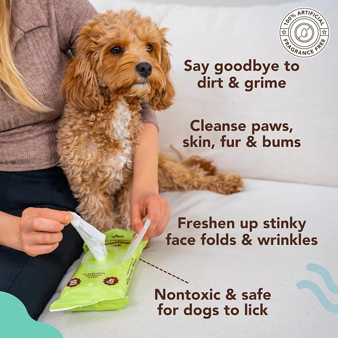 Natural Dog Company Grooming Bundle with (1) Itchy Dog Shampoo,12 oz. and (3) Grooming Wipes, 50 Count Each