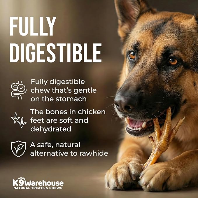 K9warehouse Chicken Feet Dog Treats - 30 Count - Natural Dehydrated Chicken Feet for Dogs - Nutrient-Rich Dog Chicken Feet - Tasty Chicken Foot Chews for Canines - Ideal for Training & Dental Health