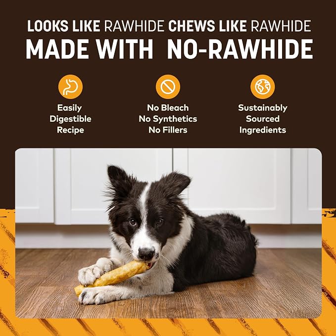 Earth Animal No Hide Chews - from the Grill Rolls Grilled Cheese Vegetarian Flavor Rawhide Free Medium Dog Chews - 3 Count